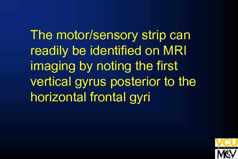 The motor/sensory strip can readily be identified on MRI imaging by noting the first