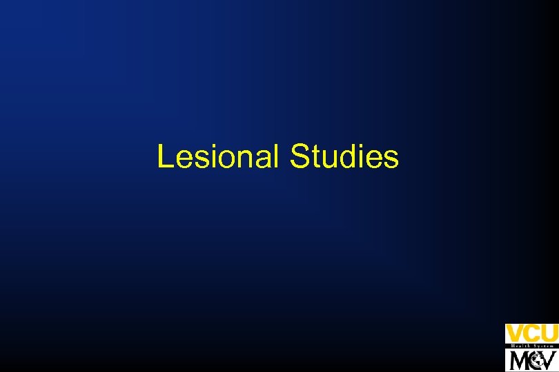 Lesional Studies 