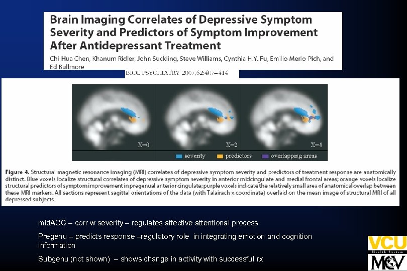 mid. ACC – corr w severity – regulates affective attentional process Pregenu – predicts