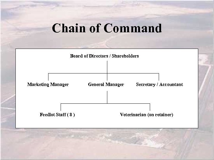 Chain of Command Board of Directors / Shareholders Marketing Manager Feedlot Staff ( 8