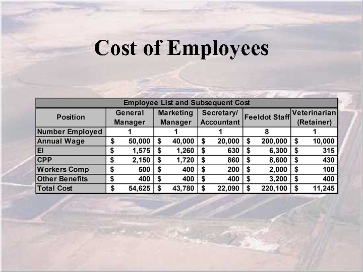 Cost of Employees 