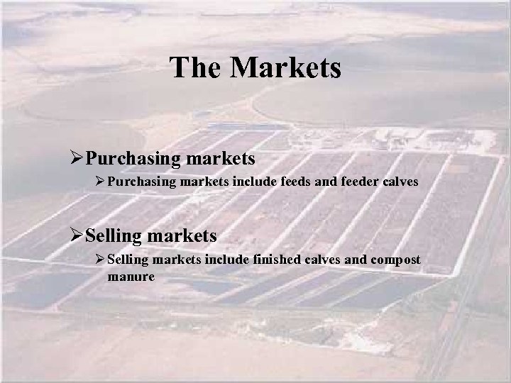 The Markets ØPurchasing markets Ø Purchasing markets include feeds and feeder calves ØSelling markets