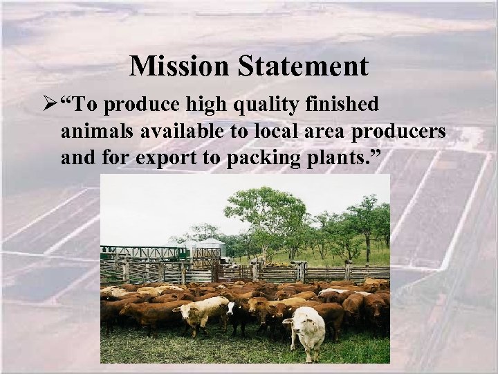 Mission Statement Ø “To produce high quality finished animals available to local area producers
