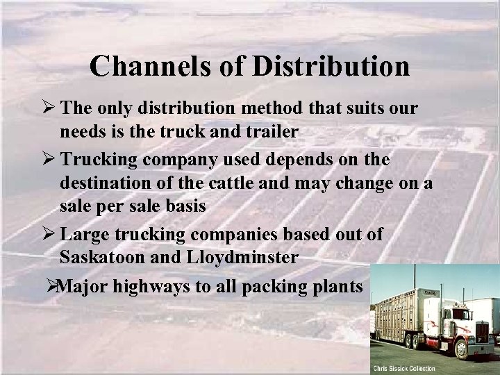 Channels of Distribution Ø The only distribution method that suits our needs is the