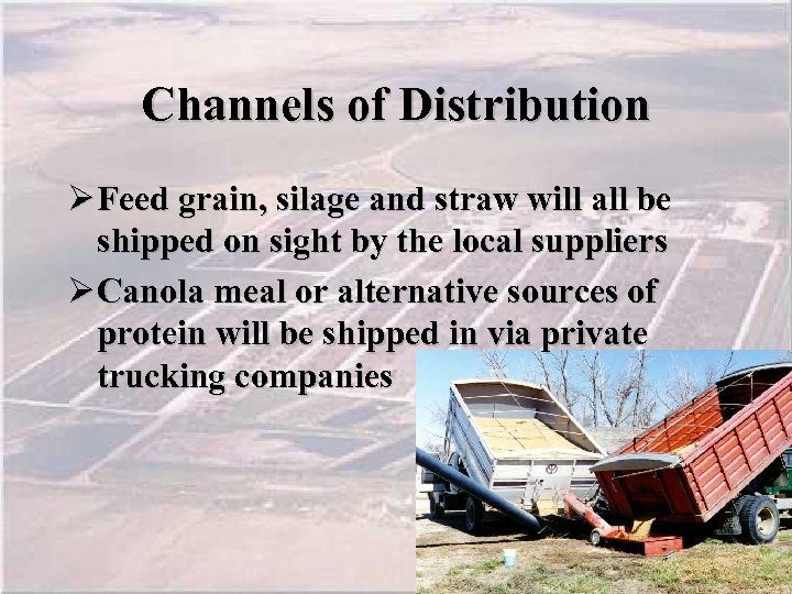 Channels of Distribution Ø Feed grain, silage and straw will all be shipped on