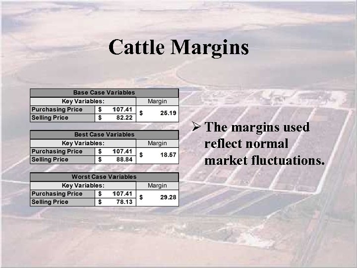 Cattle Margins Ø The margins used reflect normal market fluctuations. 
