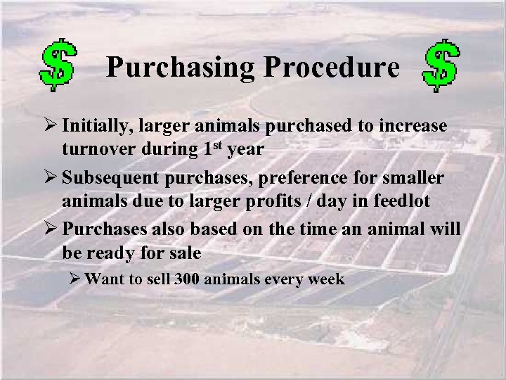 Purchasing Procedure Ø Initially, larger animals purchased to increase turnover during 1 st year
