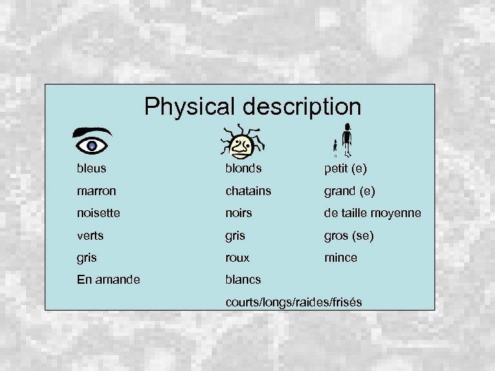 Physical description bleus blonds petit (e) marron chatains grand (e) noisette noirs de taille