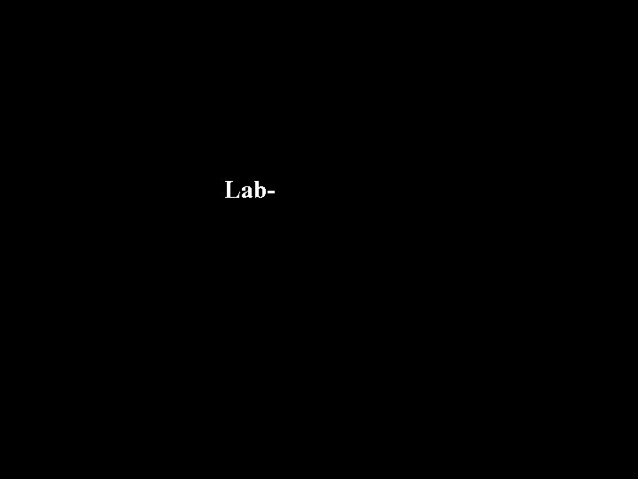 Lab- 
