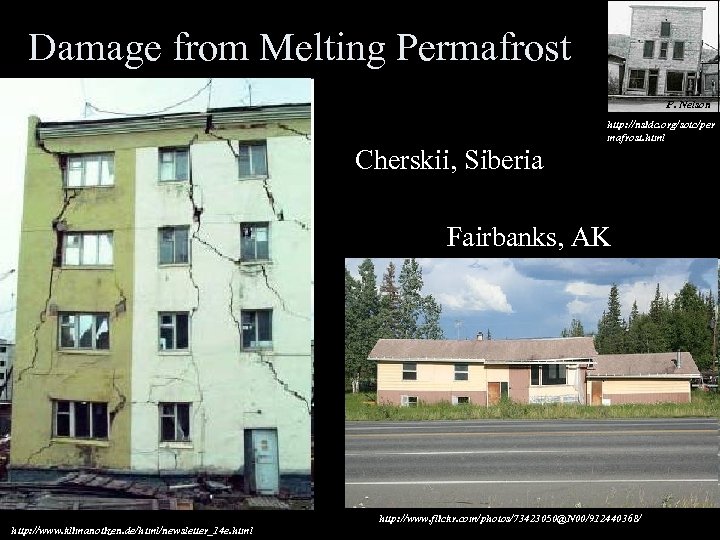 Damage from Melting Permafrost F. Nelson Cherskii, Siberia http: //nsidc. org/sotc/per mafrost. html Fairbanks,