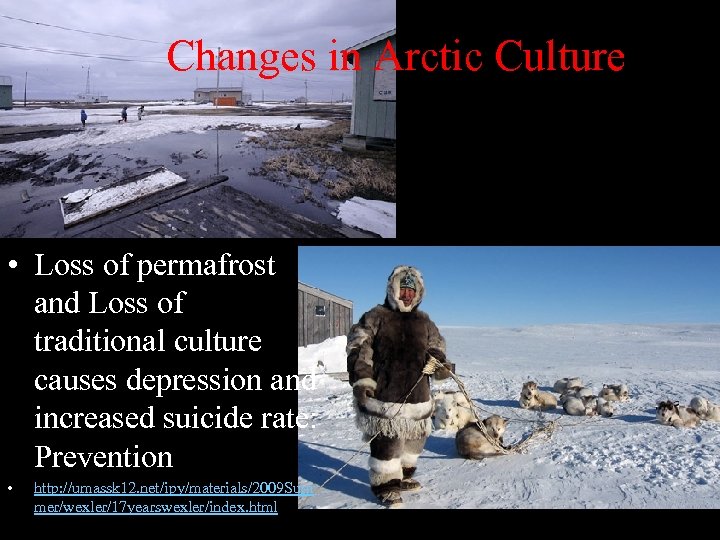 Changes in Arctic Culture • Loss of permafrost and Loss of traditional culture causes