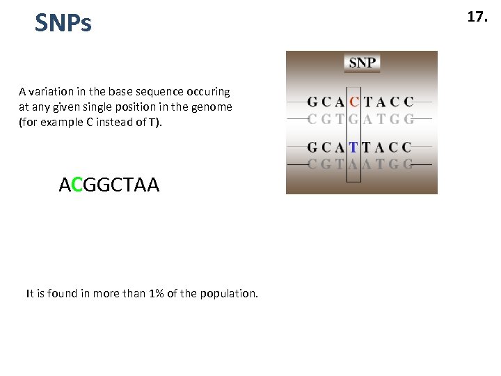 SNPs A variation in the base sequence occuring at any given single position in