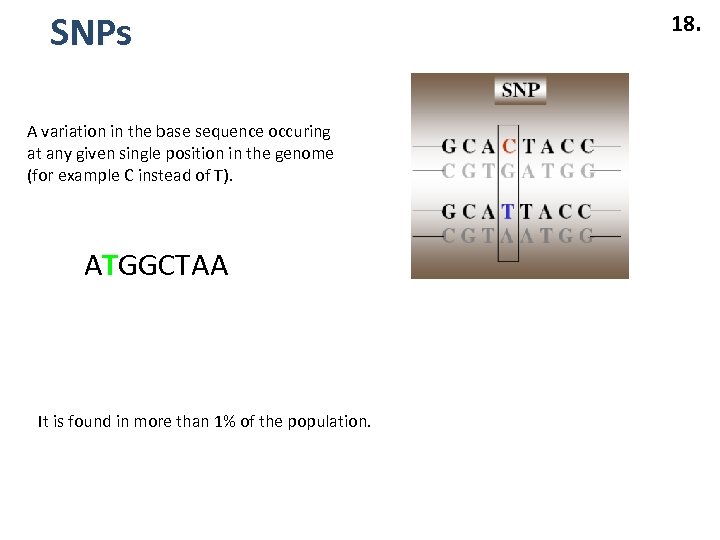 SNPs A variation in the base sequence occuring at any given single position in