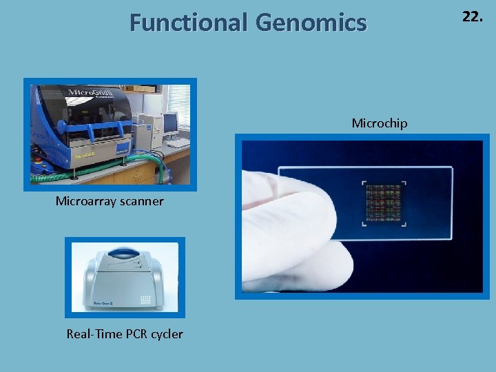 Functional Genomics Microchip Microarray scanner Real-Time PCR cycler 22. 
