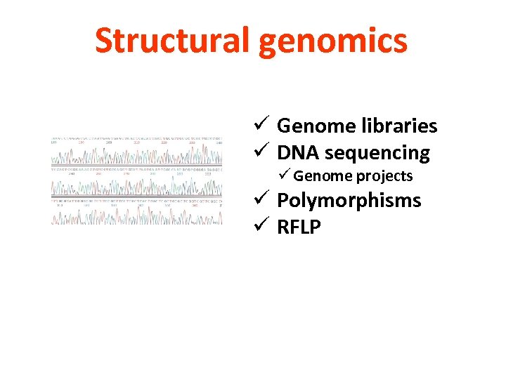 Structural genomics ü Genome libraries ü DNA sequencing ü Genome projects ü Polymorphisms ü