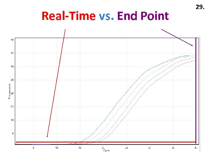 Real-Time vs. End Point 29. 