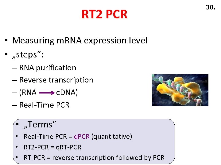 RT 2 PCR • Measuring m. RNA expression level • „steps”: – RNA purification