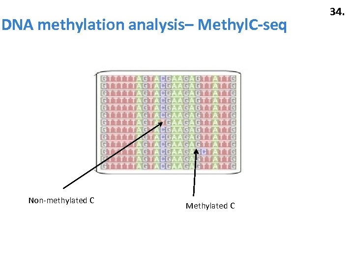 DNA methylation analysis– Methyl. C-seq Non-methylated C Methylated C 34. 
