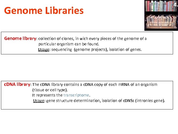 Genome Libraries Genome library: collection of clones, in wich every pieces of the genome