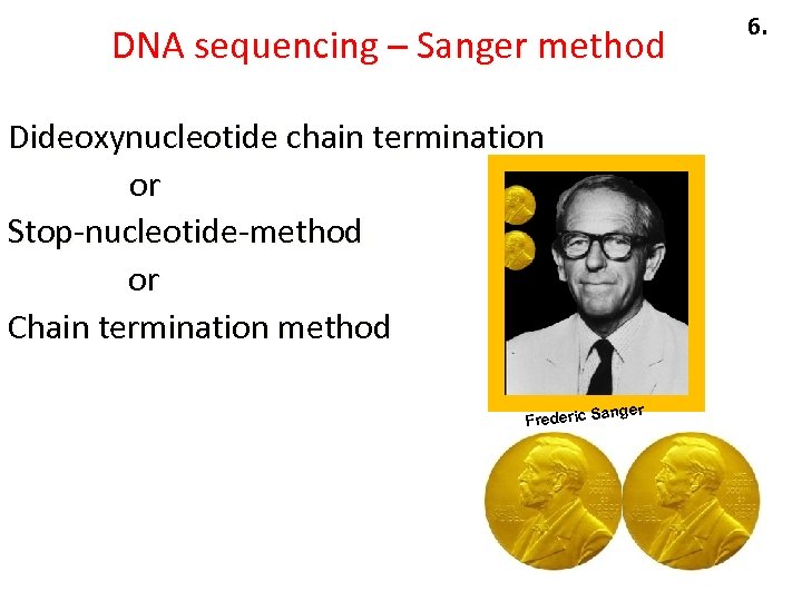 DNA sequencing – Sanger method v Dideoxynucleotide chain termination or Stop-nucleotide-method or Chain termination