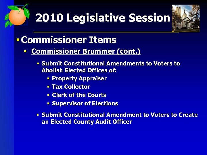 2010 Legislative Session § Commissioner Items § Commissioner Brummer (cont. ) § Submit Constitutional