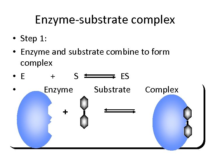 Enzyme-substrate complex • Step 1: • Enzyme and substrate combine to form complex •