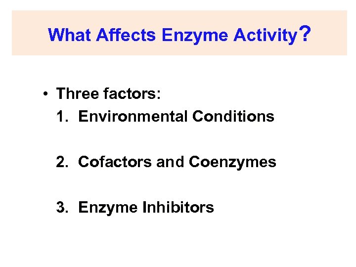 What Affects Enzyme Activity? • Three factors: 1. Environmental Conditions 2. Cofactors and Coenzymes