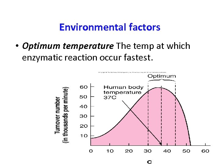 Environmental factors • Optimum temperature The temp at which enzymatic reaction occur fastest. 