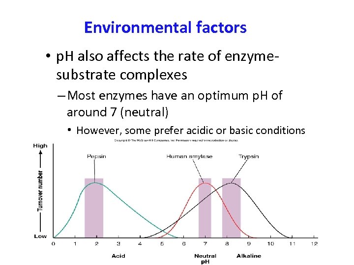 Enzyme Structure classification and mechanism of action