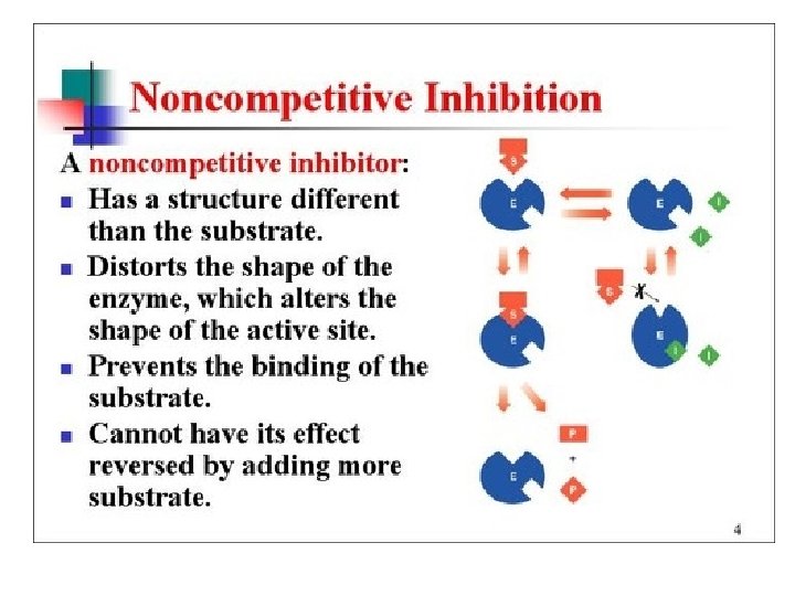 Enzyme Inhibitors • Noncompetitive 