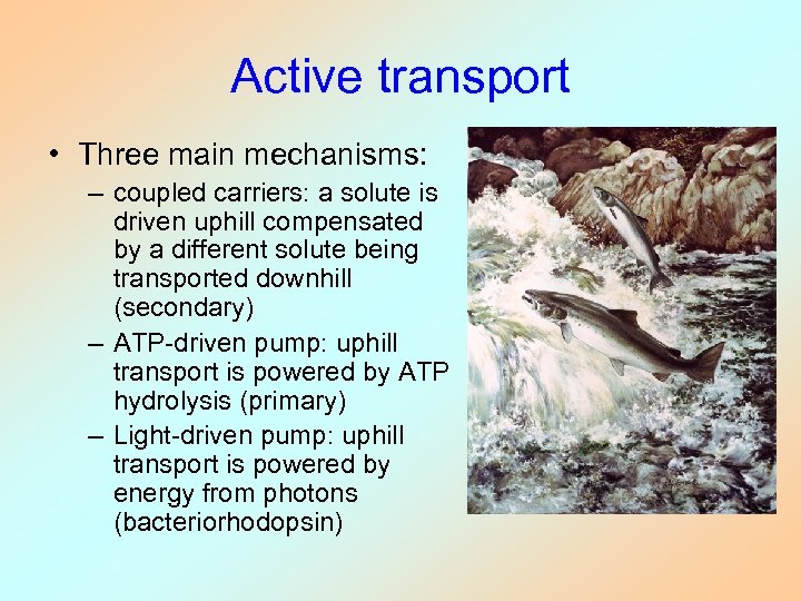 Active transport • Three main mechanisms: – coupled carriers: a solute is driven uphill