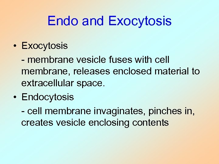 Endo and Exocytosis • Exocytosis - membrane vesicle fuses with cell membrane, releases enclosed
