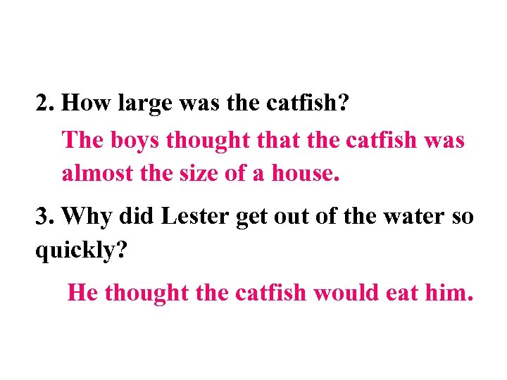 2. How large was the catfish? The boys thought that the catfish was almost