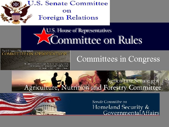 Committees in Congress 