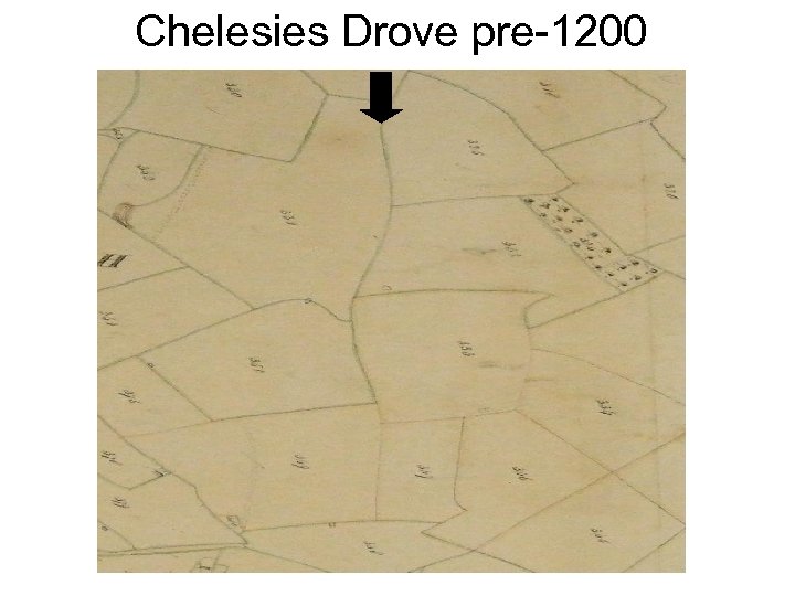 Chelesies Drove pre-1200 