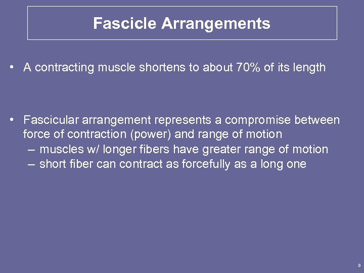 Fascicle Arrangements • A contracting muscle shortens to about 70% of its length •