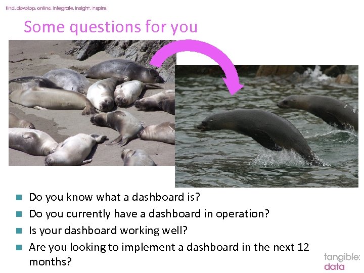 Some questions for you Do you know what a dashboard is? n Do you