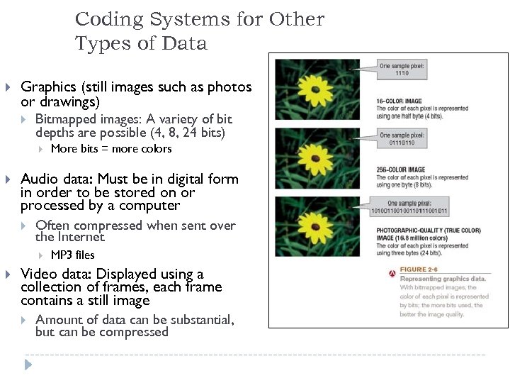 Coding Systems for Other Types of Data Graphics (still images such as photos or