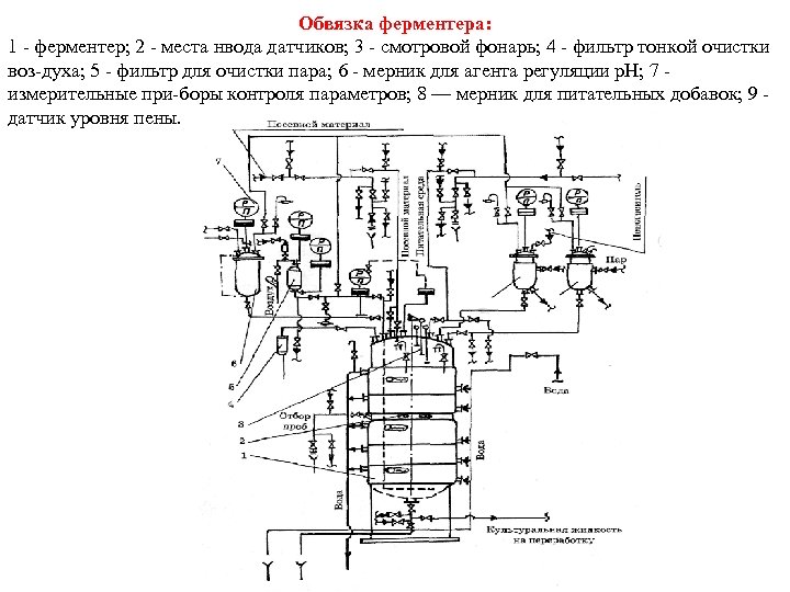 Обвязка ферментера: 1 ферментер; 2 места нвода датчиков; 3 смотровой фонарь; 4 фильтр тонкой