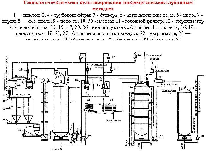 Технологическая схема производства лизина