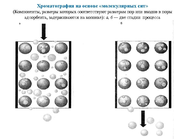 Организм показанный на рисунке стал основой для промышленного получения