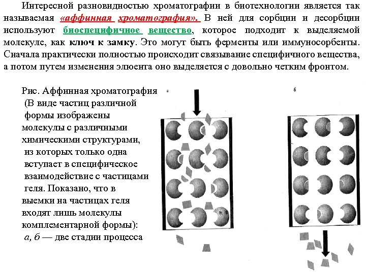 Интересной разновидностью хроматографии в биотехнологии является так называемая «аффинная хроматография» . В ней для