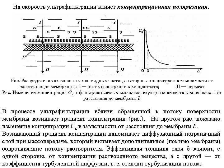 На скорость ультрафильтрации влияет концентрационная поляризация. Рис. Распределение взвешенных коллоидных частиц со стороны концентрата