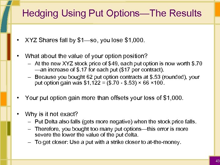 Hedging Using Put Options—The Results • XYZ Shares fall by $1—so, you lose $1,