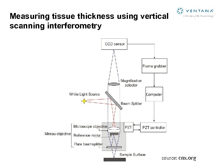 Measuring tissue thickness using vertical scanning interferometry source: cnx. org 