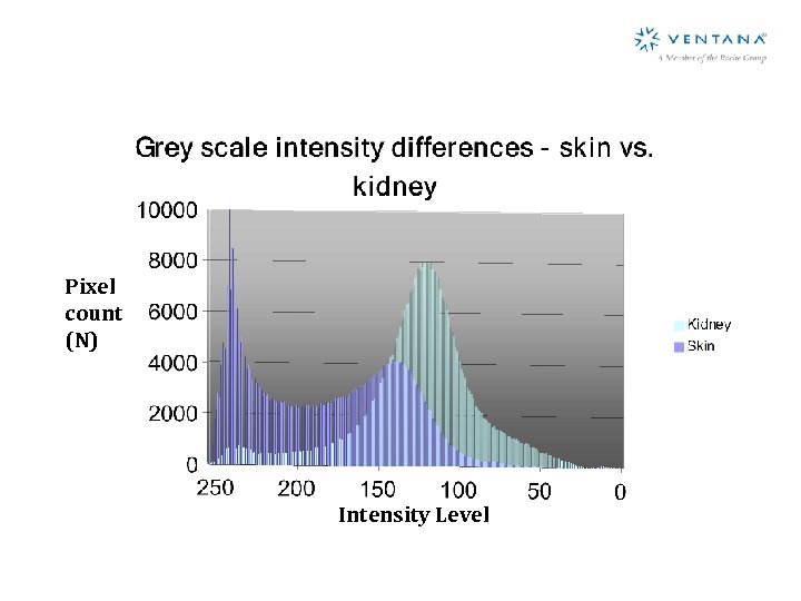Pixel count (N) Intensity Level 