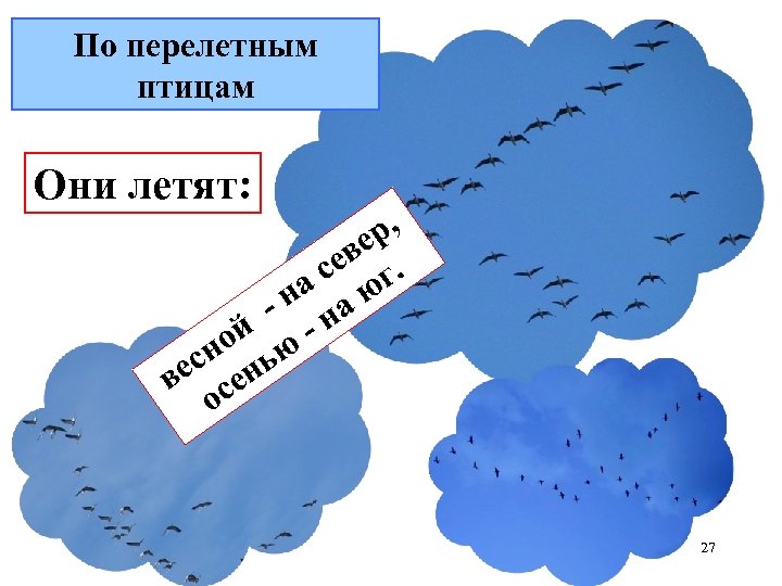 По перелетным птицам Они летят: р, ве. се г на а ю - н