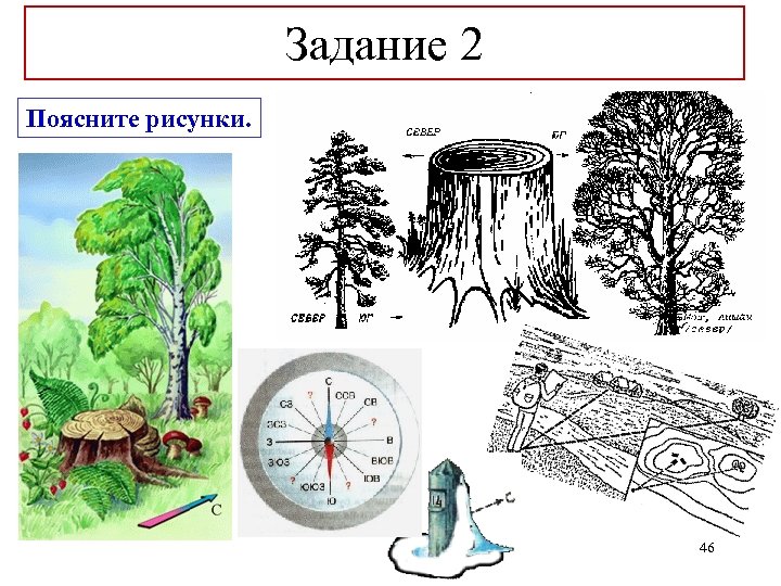 Задание 2 Поясните рисунки. 46 