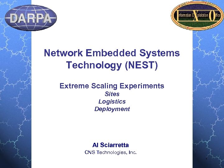 Network Embedded Systems Technology (NEST) Extreme Scaling Experiments Sites Logistics Deployment Al Sciarretta CNS