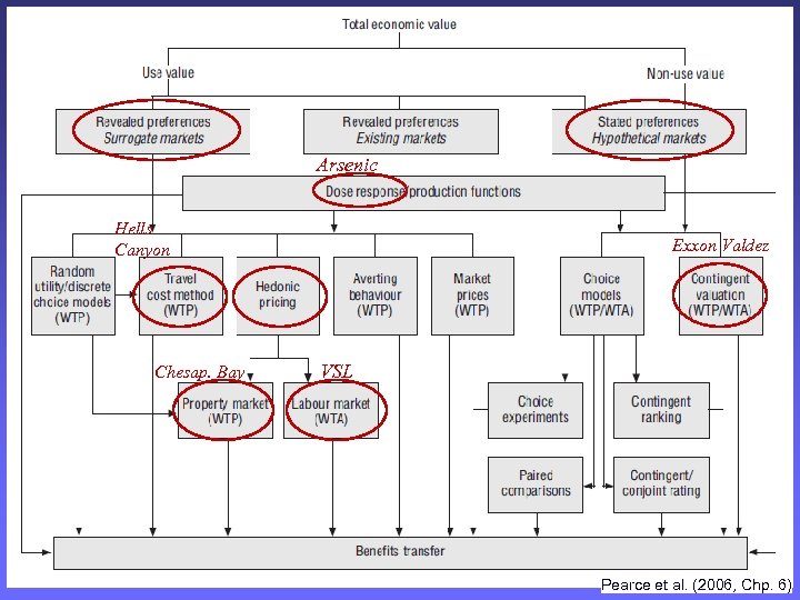 Arsenic Hells Canyon Chesap. Bay Exxon Valdez VSL Pearce et al. (2006, Chp. 6)